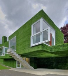 Индивидуальный жилой дом